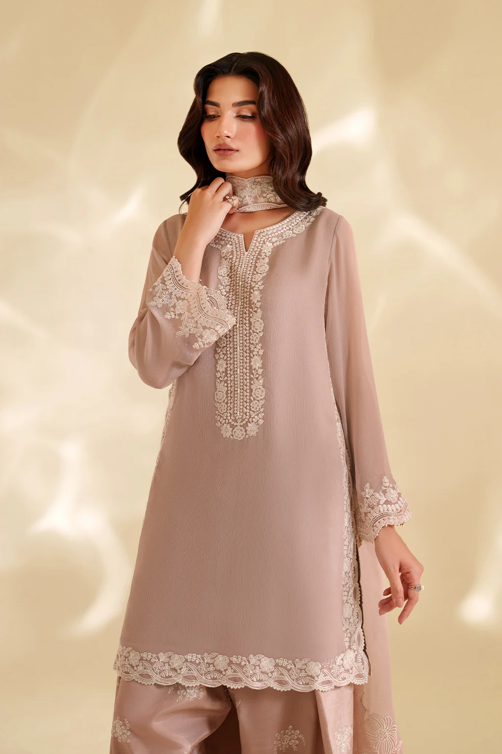 CC-79 Embroidered Chiffon - Image 6