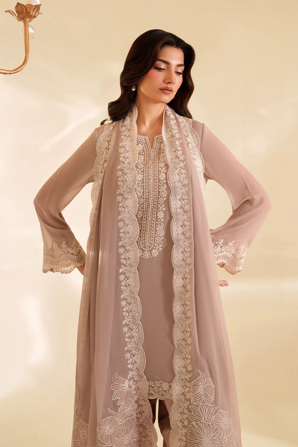 CC-79 Embroidered Chiffon - Image 7