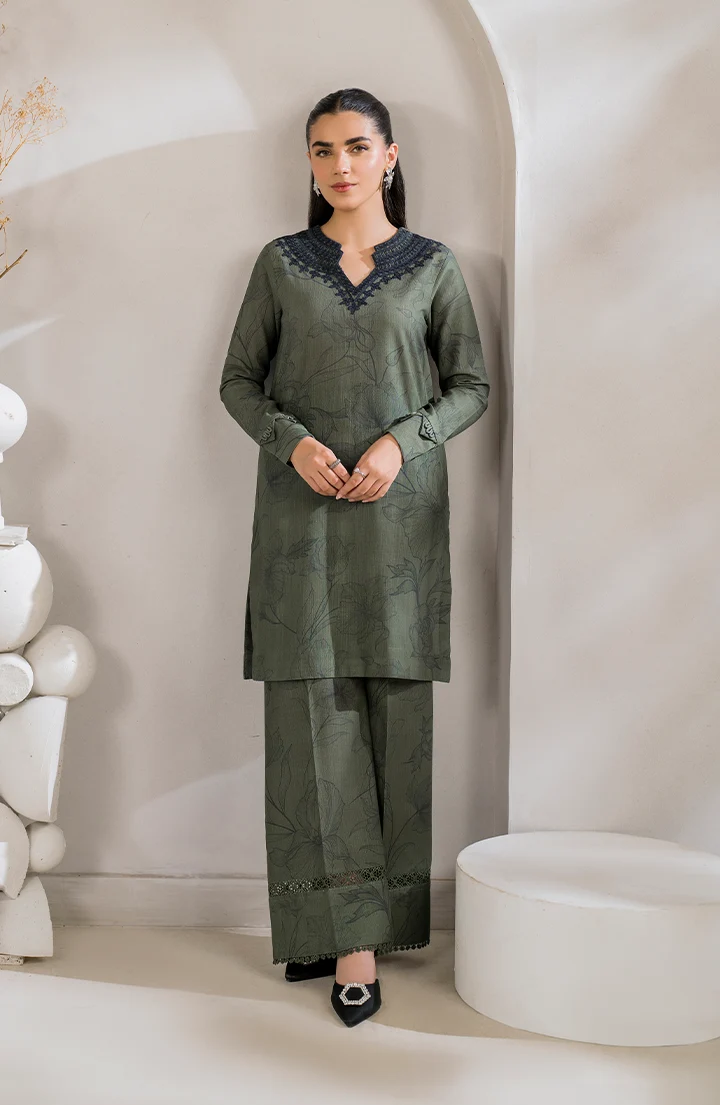 IP-253 Printed Khaddar - Image 6