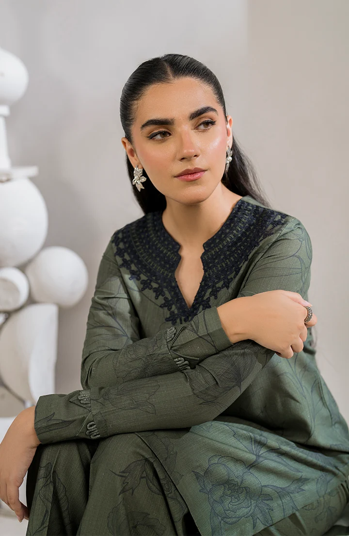IP-253 Printed Khaddar - Image 8