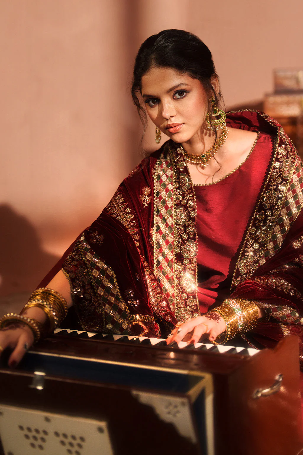 IV-56 Embroidered Velvet - Image 5