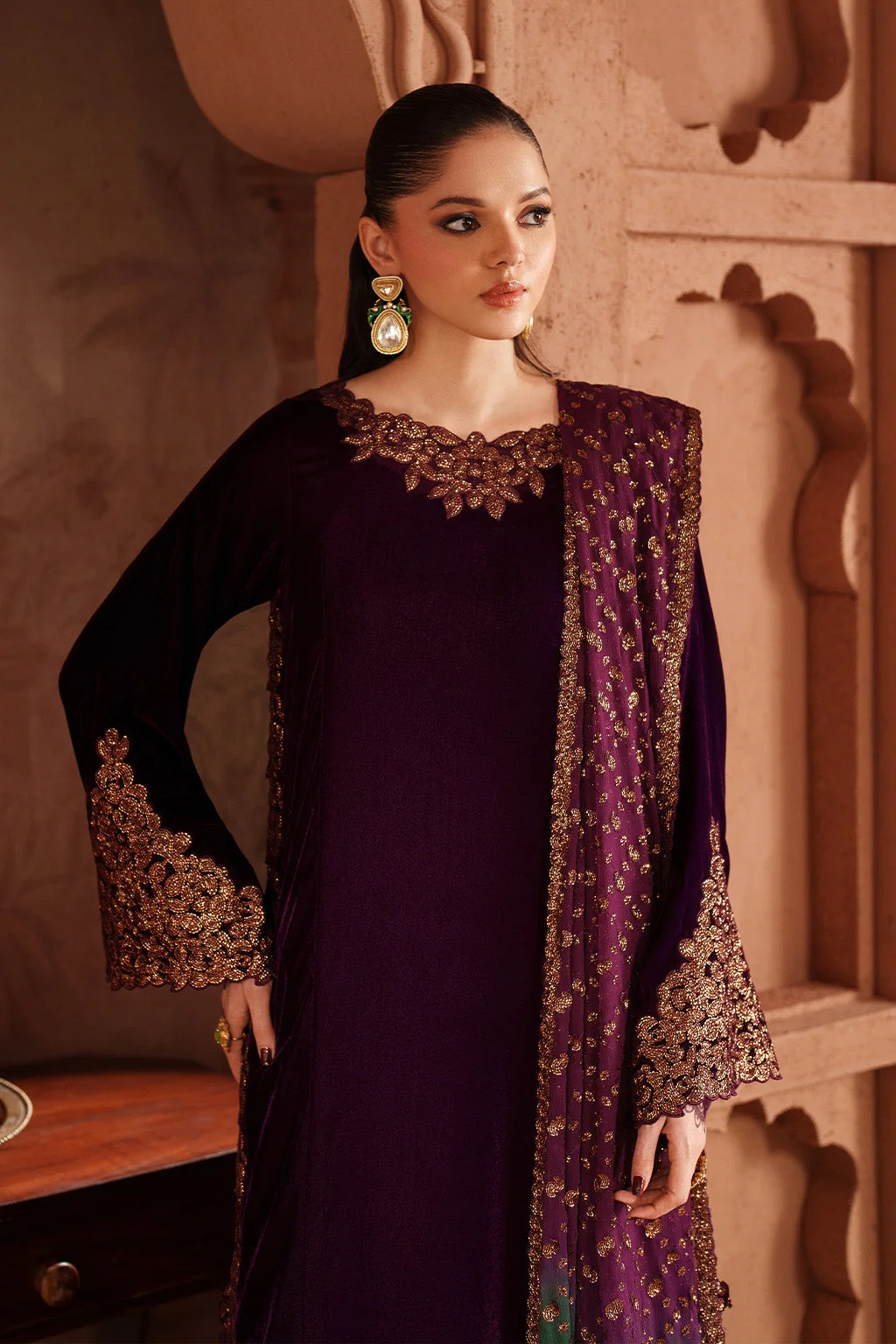 IV-57 Embroidered Velvet - Image 5