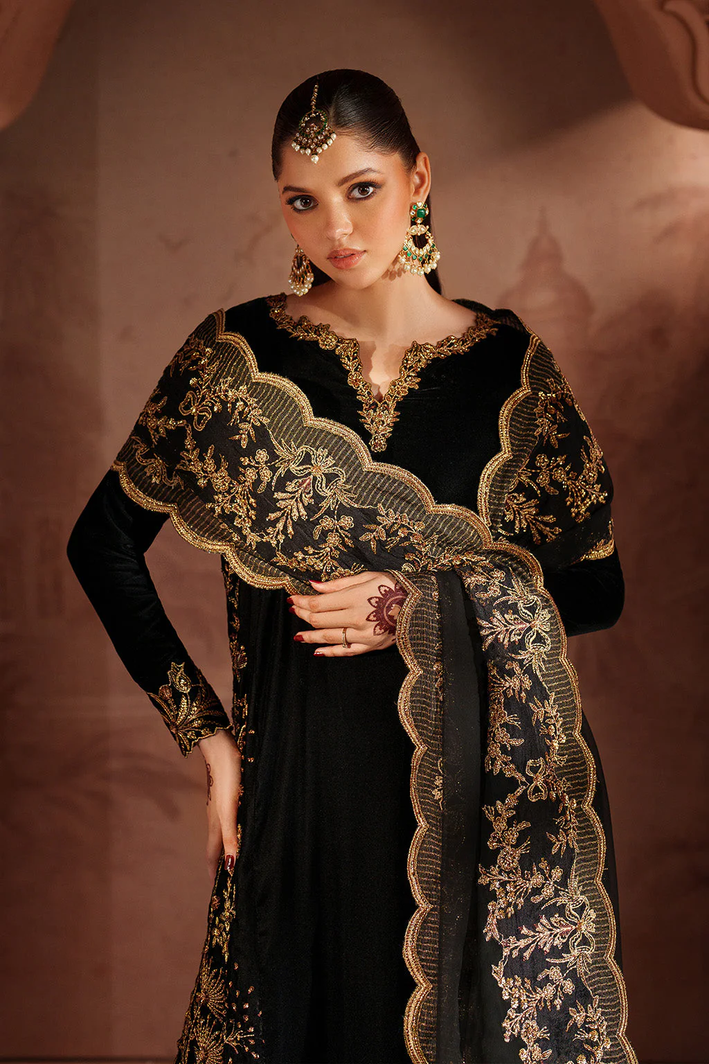 IV-62 Embroidered Velvet - Image 3