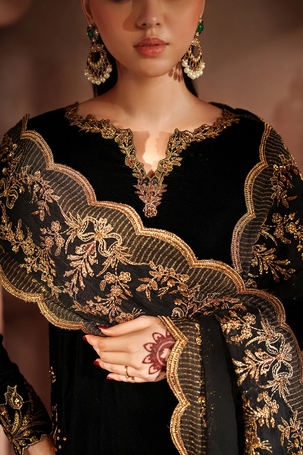 IV-62 Embroidered Velvet - Image 9