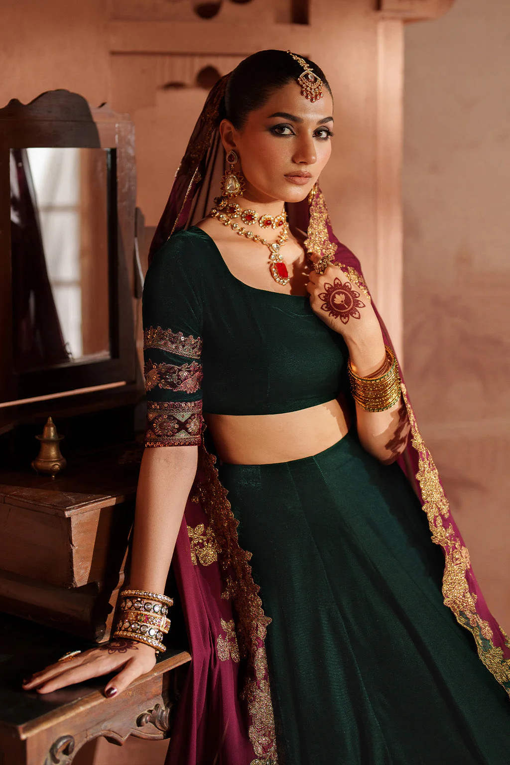 IV-65 Embroidered Velvet ( Lehnga Choli ) - Image 9